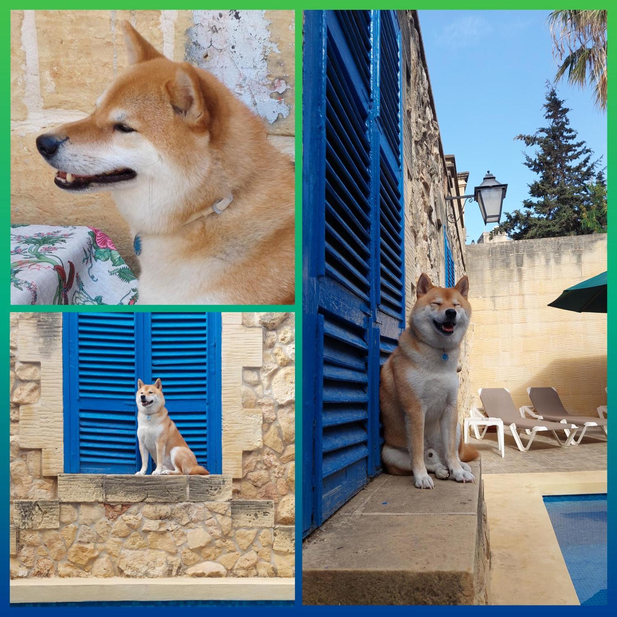 Mj Frühstückspension Xagħra
